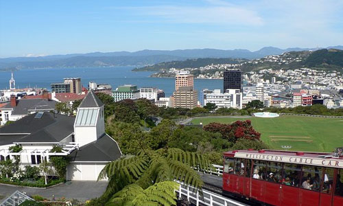 Wellington Trip